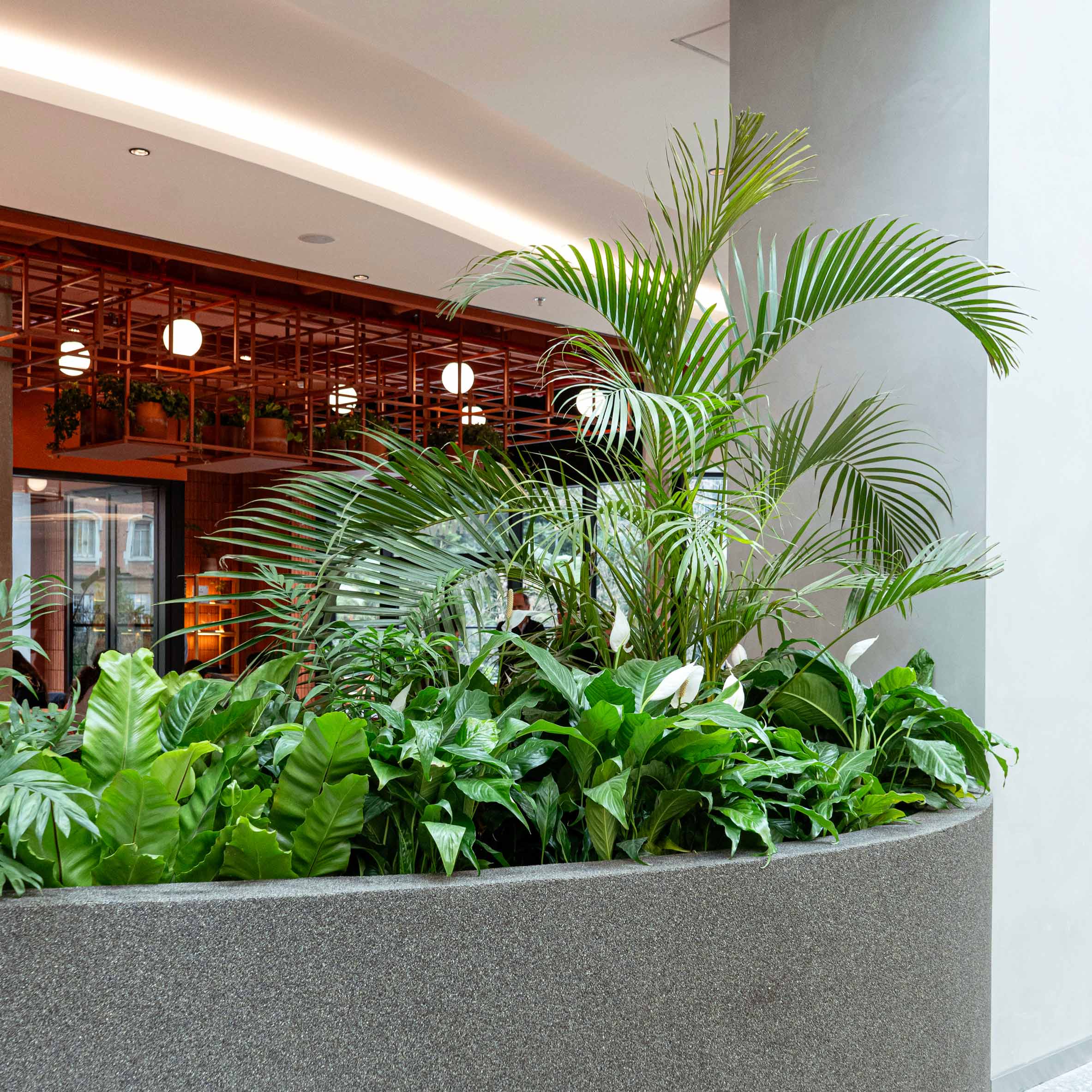 Eventos de Recoleta Urban Mall centro comercial